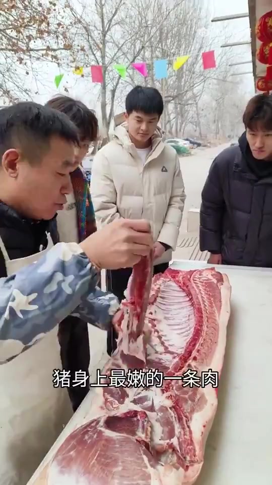 认识猪肉