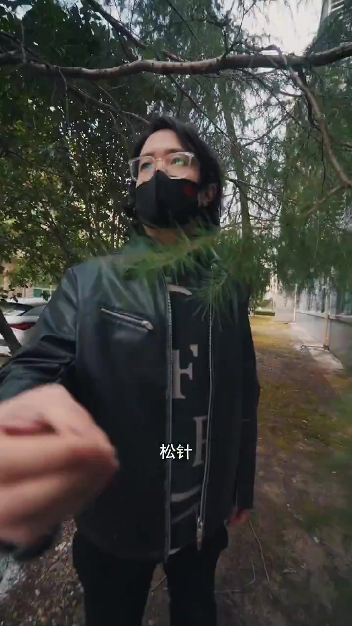 0 草木为镖，摘叶飞花中国功夫